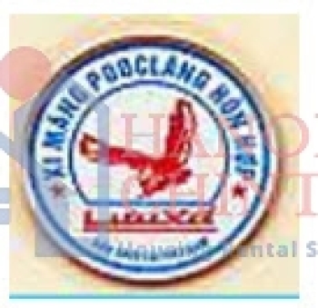 Chi nhánh Công ty đầu tư và SXCN NM Xi măng Lưu Xá