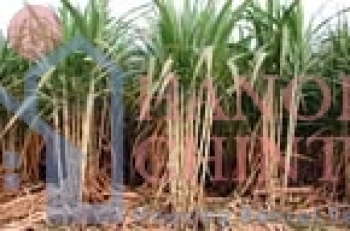 Thanh Hóa: Đầu tư hơn 260 tỷ để 