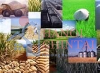 Thực phẩm thiết yếu sắp tăng giá