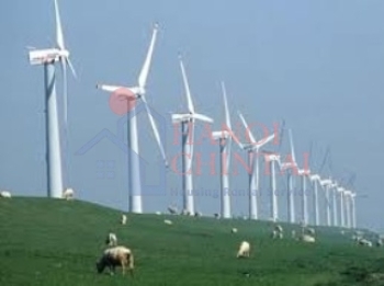 Đan Mạch thâm nhập sâu vào dự án điện gió