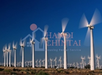 Việt Nam bước đầu phát triển điện gió