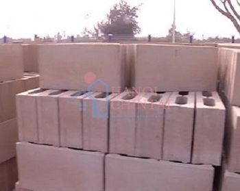 Đưa vào hoạt động nhà máy gạch không nung tại huyện Long Điền, tỉnh Bà Rịa Vũng Tàu