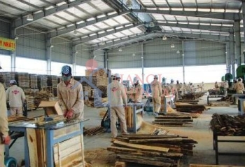Quảng Nam: Đầu tư xây dựng Nhà máy chế biến gỗ MDF