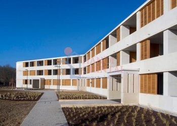 Nhà từ đá và gỗ thông nguyên bản