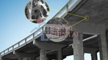 Xương và vỏ sò ốc có thể làm công thức bê tông mới