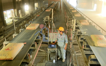 Giá than “bào mòn” gần hết lợi nhuận Xi măng La Hiên