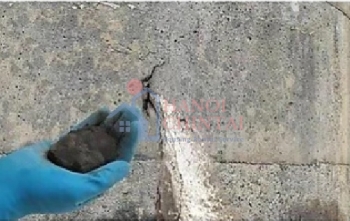 Vữa đông cứng nhanh chặn nước tức thời gốc xi măng