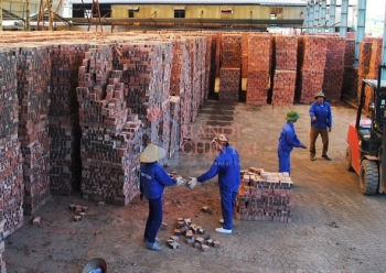 Bản tin VLXD tuần từ 07/10 đến 12/10/2024