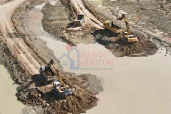 Bản tin VLXD tuần từ 10/11 đến 17/11/2024