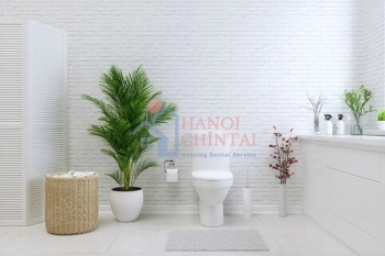 Chọn gạch lát phù hợp với không gian phòng tắm