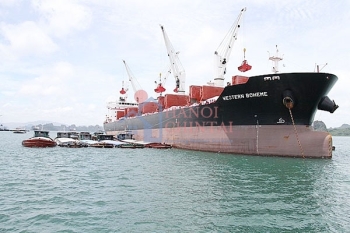 Xuất khẩu xi măng và clinker thu về gần 304,1 triệu USD trong quý 1