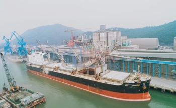 Giá xuất khẩu clinker và xi măng sụt giảm thê thảm