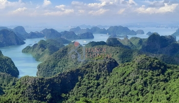 Giá vật liệu xây dựng tại Hải Phòng quý III/2025