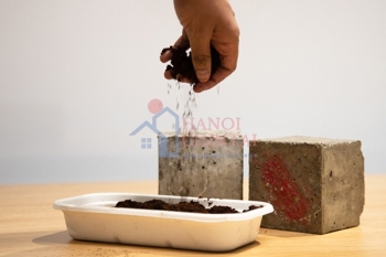 Xu thế kiến trúc xanh và cuộc đua vật liệu xây dựng bền vững