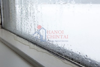 Nguyên nhân và giải pháp chống nồm ẩm hiệu quả trong nhà chung cư