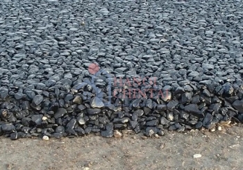 Các hợp chất từ tảo có thể kéo dài tuổi thọ mặt đường và giảm chi phí bảo trì