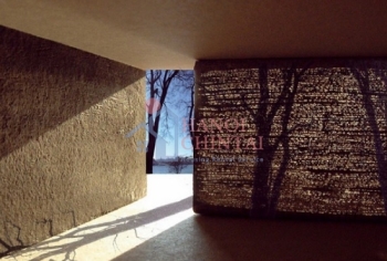 Sự ra đời và nguyên lý hoạt động của bê tông phát sáng