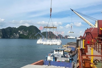 Tháng 1: Xuất khẩu xi măng, clinker đạt gần 2,18 triệu tấn