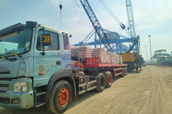 Triển vọng phục hồi thị trường xi măng trong năm 2025