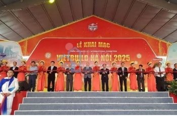 Bản tin VLXD tuần từ 25/05 đến 31/05/2025