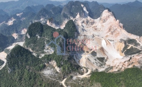 Bản tin VLXD tuần từ 01/06 đến 06/06/2025