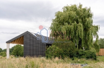 Lưu ý về 6 loại cây kiêng kỵ trồng trước nhà