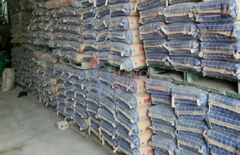 Dự báo tình hình tiêu thụ xi măng trong nước năm 2025