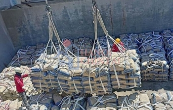 Thị trường xi măng toàn cầu vẫn tăng trưởng, đạt giá trị khoảng 236 tỷ USD