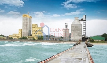 Thị trường xi măng thế giới có dấu hiệu phục hồi nhẹ