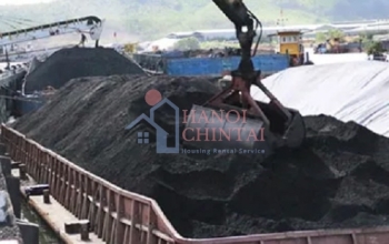 Xi măng VICEM Hải Phòng mời thầu cung cấp than cám 6a.1