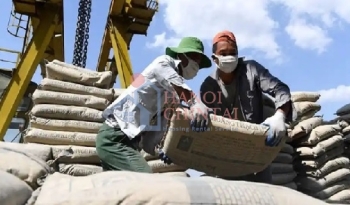 Thị trường xi măng trong nước đang ấm dần lên