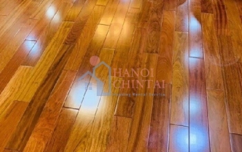 Loại sàn nhà nào lý tưởng nhất cho người bị dị ứng?