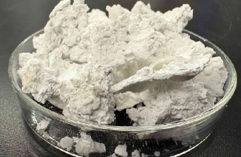 Nước biển và CO2 có thể tạo ra vật liệu xây dựng có khả năng lưu trữ carbon