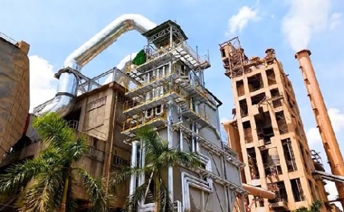 VICEM Hoàng Mai định hướng tập trung vào cải thiện biên lợi nhuận