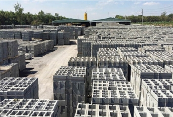 Ngành vật liệu xây dựng Việt Nam đã có bước phát triển mạnh mẽ