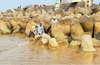 Xỉ thép Formosa có thể được sử dụng để làm cốt liệu cho bê tông nặng