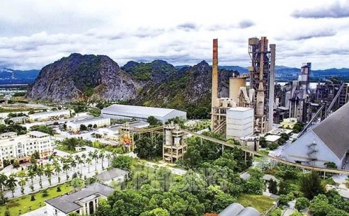 VICEM Hải Phòng mời thầu cung cấp vỏ bao đựng xi măng năm 2026