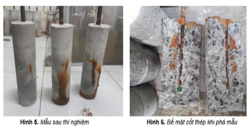 Nghiên cứu áp dụng phương pháp gia tốc để đánh giá mức độ ăn mòn cốt thép trong bê tông cát nhiễm mặn