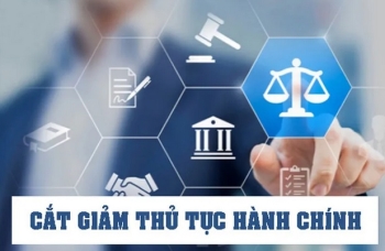 Công bố thủ tục hành chính bị bãi bỏ trong lĩnh vực vật liệu xây dựng