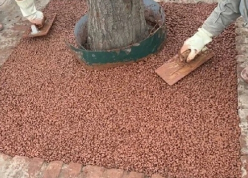 Bê tông rỗng làm từ phế thải xây dựng: Giải pháp tái chế rác thải bền vững cho đô thị
