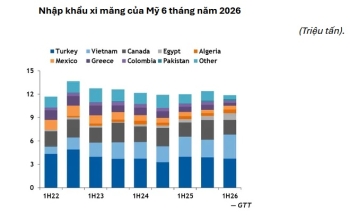 Việt Nam vươn lên vị trí thứ hai trong nhóm các nhà cung cấp xi măng cho Mỹ