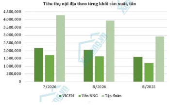 Thị trường xi măng tháng 8: Tiêu thụ tăng so với cùng kỳ, xuất khẩu giảm