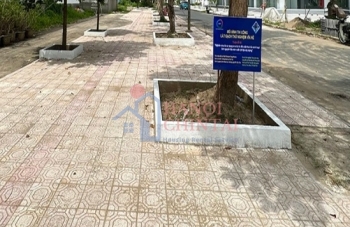 Nghiên cứu sản xuất gạch lát vỉa hè từ tro xỉ rác thải sinh hoạt