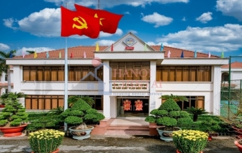 Vật liệu xây dựng Biên Hòa khép lại năm tài chính 2025 với kết quả kinh doanh ấn tượng