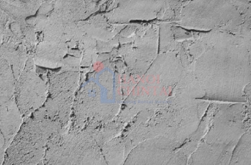 Công nghệ hình ảnh 5D có khả năng hấp thụ CO2 của vật liệu xi măng