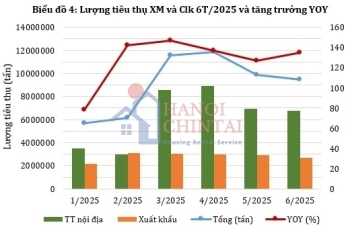 Bức tranh chung ngành xi măng năm 2025: Phục hồi và tăng trưởng rõ rệt