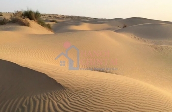 Cát sa mạc có thể được chuyển hóa thành gạch có độ bền cao nhờ chất kết dính hoạt hóa kiềm