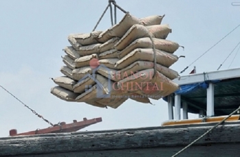 Ngành xi măng Việt Nam liệu có bứt phá trong năm 2026?