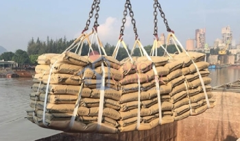 Xuất khẩu xi măng và clinker tăng trưởng ấn tượng ngay tháng đầu năm 2026