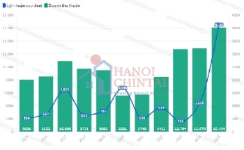 Vinaconex đạt lợi nhuận sau thuế cao nhất trong lịch sử